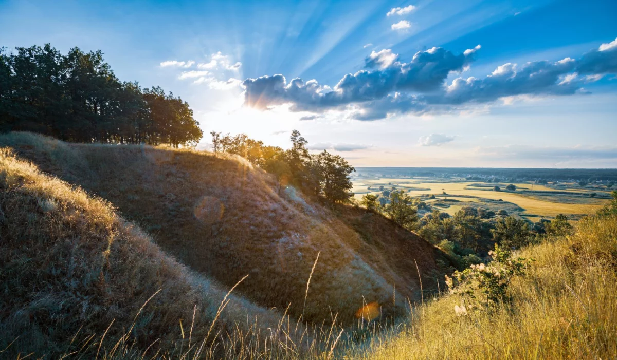 Doradztwo w zakresie ochrony środowiska: Klucz do zrównoważonego rozwoju i efektywności energetycznej