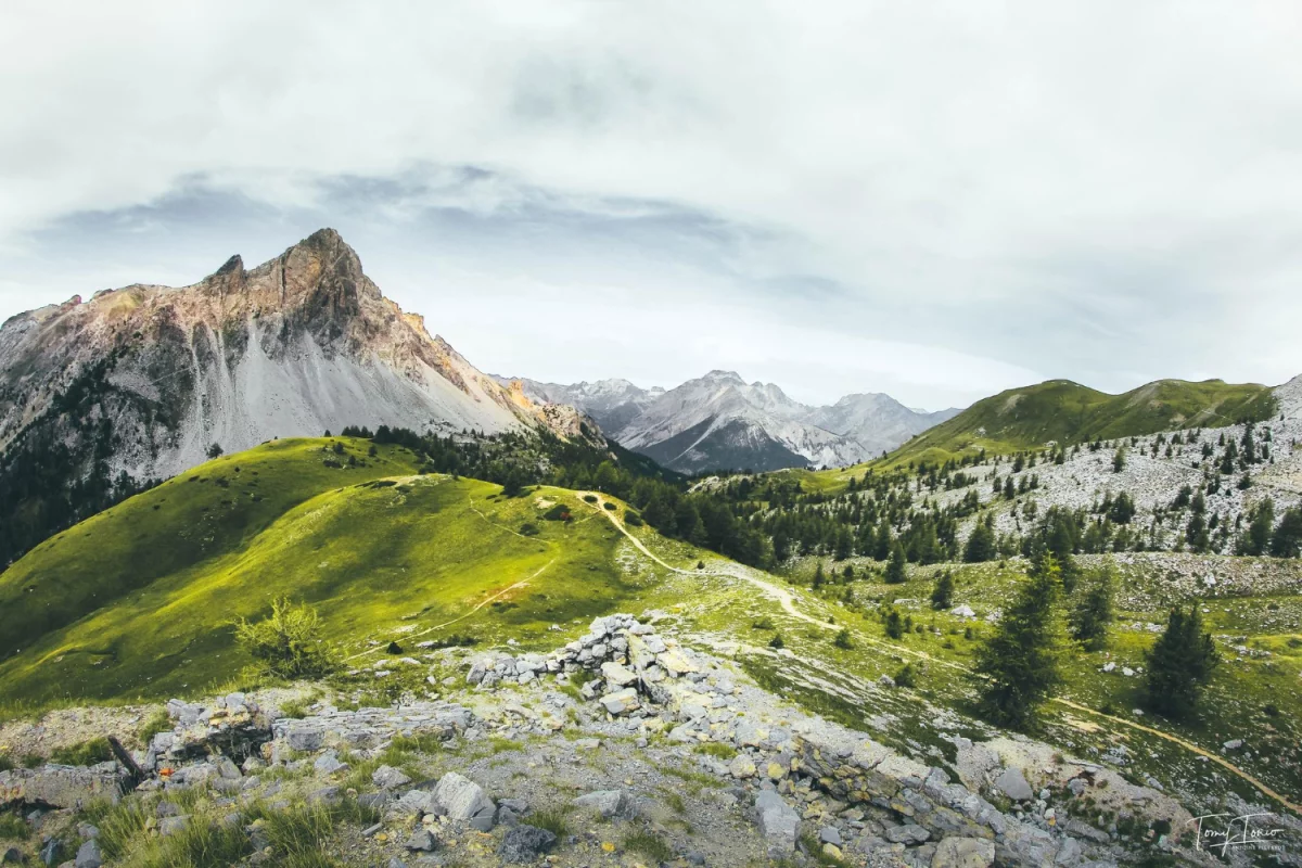 Doradztwo w zakresie ochrony środowiska: Klucz do zrównoważonego rozwoju i odpowiedzialności ekologicznej