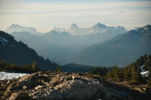 BDO dla producenta komputerów: Klucz do efektywności i innowacji w branży IT